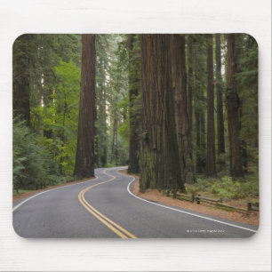 USA, California, road through Redwood forest Mouse Mat