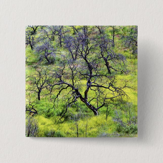 USA, California, San Diego. A burnt oak forest 15 Cm Square Badge (Front)
