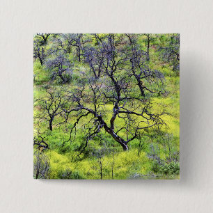 USA, California, San Diego. A burnt oak forest 15 Cm Square Badge