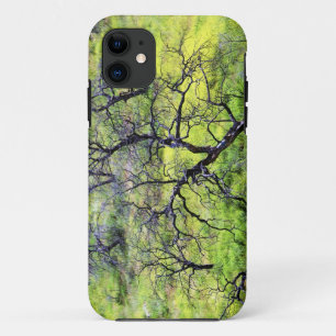 USA, California, San Diego. A burnt oak forest iPhone 11 Case