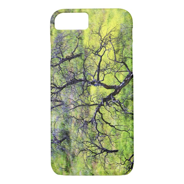 USA, California, San Diego. A burnt oak forest Case-Mate iPhone Case (Back)