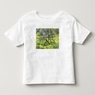 USA, California, San Diego. A burnt oak forest Toddler T-Shirt