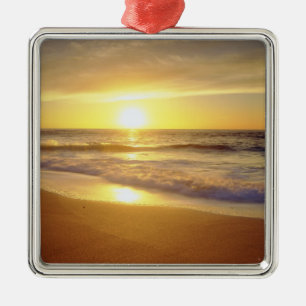 USA, California, San Diego. La Jolla Shores Metal Tree Decoration