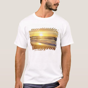USA, California, San Diego. La Jolla Shores T-Shirt
