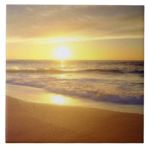 USA, California, San Diego. La Jolla Shores Tile