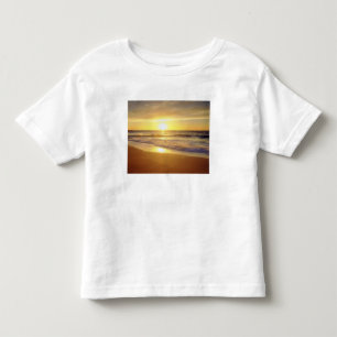 USA, California, San Diego. La Jolla Shores Toddler T-Shirt