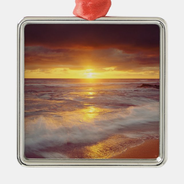 USA, California, San Diego. Sunset Cliffs beach Metal Tree Decoration (Front)