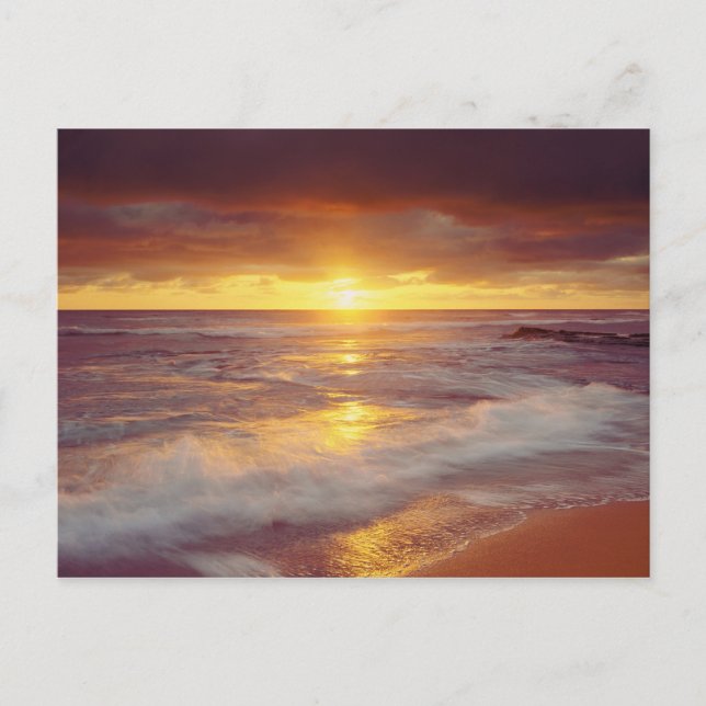 USA, California, San Diego. Sunset Cliffs beach Postcard (Front)