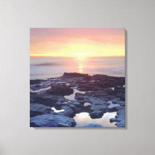 USA, California, San Diego. Sunset Cliffs tide Canvas Print
