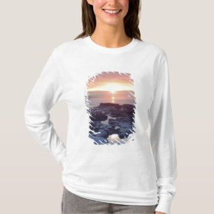 USA, California, San Diego. Sunset Cliffs tide T-Shirt