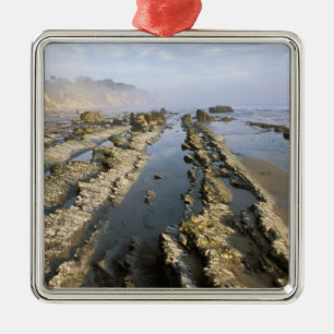 USA, California, Santa Barbara, Henry's Beach. Metal Tree Decoration