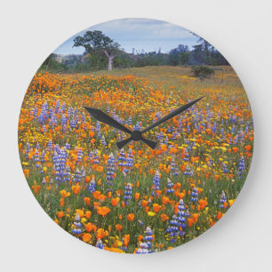USA, California, Santa Margarita, Avenales Large Clock