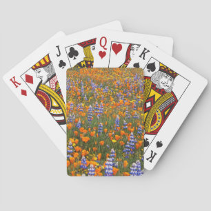 USA, California, Santa Margarita, Avenales Playing Cards