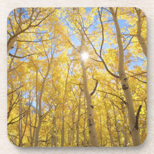 USA, California, Sierra Nevada Mountains. Fall Coaster
