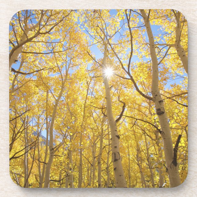USA, California, Sierra Nevada Mountains. Fall Coaster (Front)