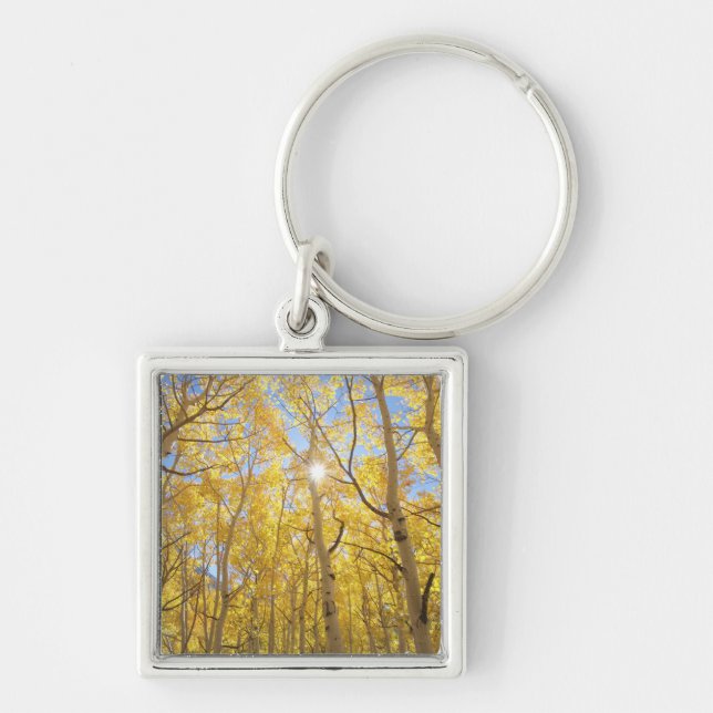 USA, California, Sierra Nevada Mountains. Fall Key Ring (Front)