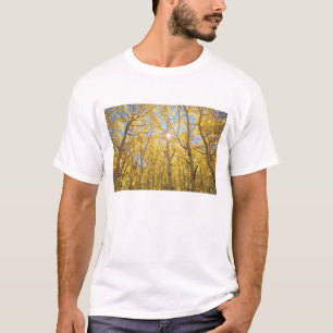 USA, California, Sierra Nevada Mountains. Fall T-Shirt