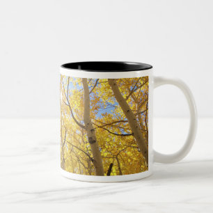 USA, California, Sierra Nevada Mountains. Fall Two-Tone Coffee Mug