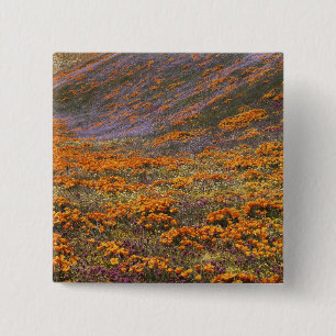 USA, California, Tehachapi Mountains, 2 15 Cm Square Badge