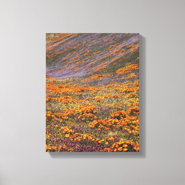 USA, California, Tehachapi Mountains, 2 Canvas Print (Front)