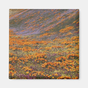 USA, California, Tehachapi Mountains, 2 Magnet