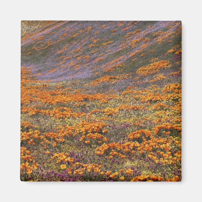USA, California, Tehachapi Mountains, 2 Magnet (Front)