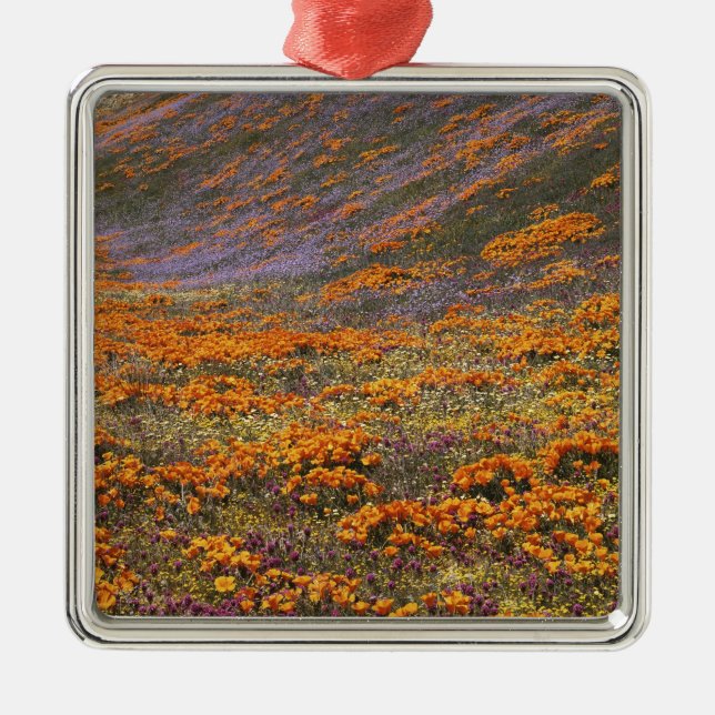 USA, California, Tehachapi Mountains, 2 Metal Tree Decoration (Front)