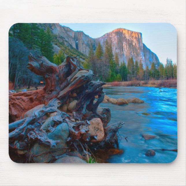 USA, California. Tree Roots In Merced River Mouse Mat (Front)