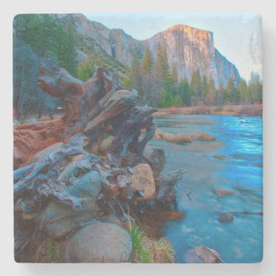 USA, California. Tree Roots In Merced River Stone Coaster