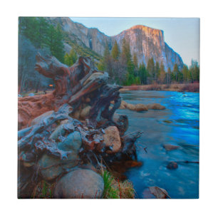 USA, California. Tree Roots In Merced River Tile