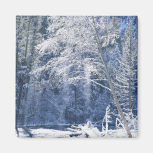 USA, California, Yosemite National Park, 2 Magnet