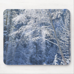 USA, California, Yosemite National Park, 2 Mouse Mat