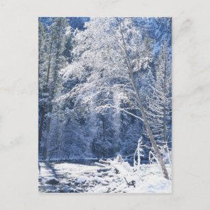 USA, California, Yosemite National Park, 2 Postcard