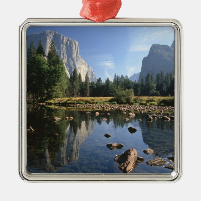 USA, California, Yosemite National Park, 5 Metal Tree Decoration (Front)
