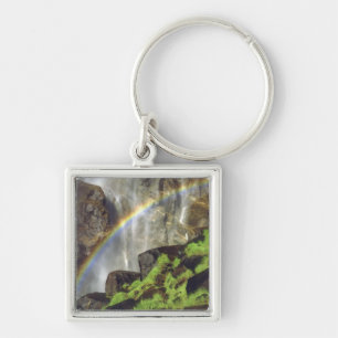USA, California, Yosemite National Park. A Key Ring