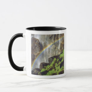 USA, California, Yosemite National Park. A Mug