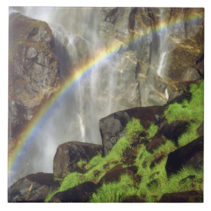 USA, California, Yosemite National Park. A Tile