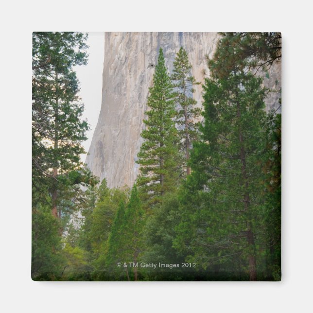 USA, California, Yosemite National Park, El 4 Magnet (Front)