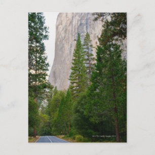 USA, California, Yosemite National Park, El 4 Postcard