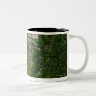 USA, California, Yosemite National Park, El 4 Two-Tone Coffee Mug