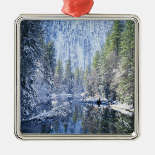 USA, California, Yosemite National Park, Metal Tree Decoration