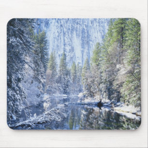 USA, California, Yosemite National Park, Mouse Mat