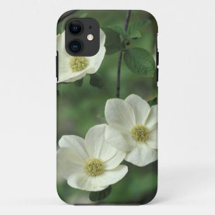 USA, California, Yosemite NP, along Merced iPhone 11 Case