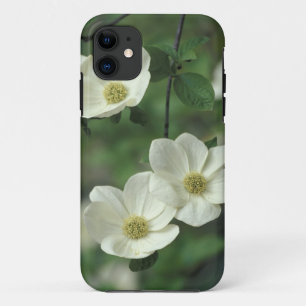 USA, California, Yosemite NP, along Merced iPhone 11 Case