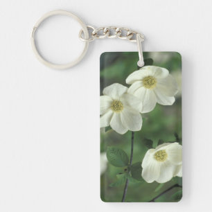 USA, California, Yosemite NP, along Merced Key Ring