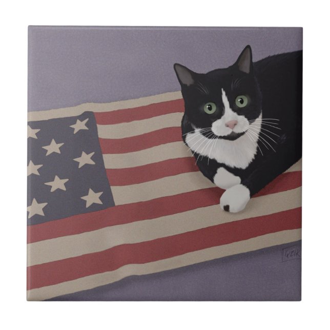 USA Cat  Tile (Front)