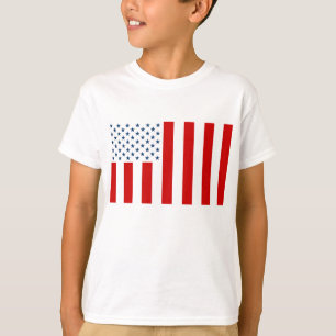 USA Civil Flag of Peacetime T-Shirt