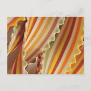 USA. Close-up of dried rainbow pasta noodles. Postcard
