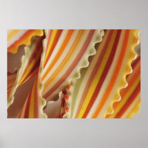USA. Close-up of dried rainbow pasta noodles. Poster