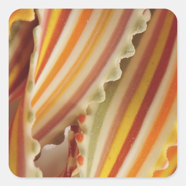 USA. Close-up of dried rainbow pasta noodles. Square Sticker (Front)
